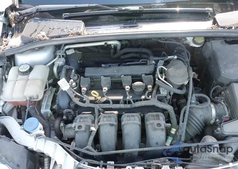 2013 Ford Focus Se z USA, uszkodzony, nr VIN 1FADP3K24DL161930